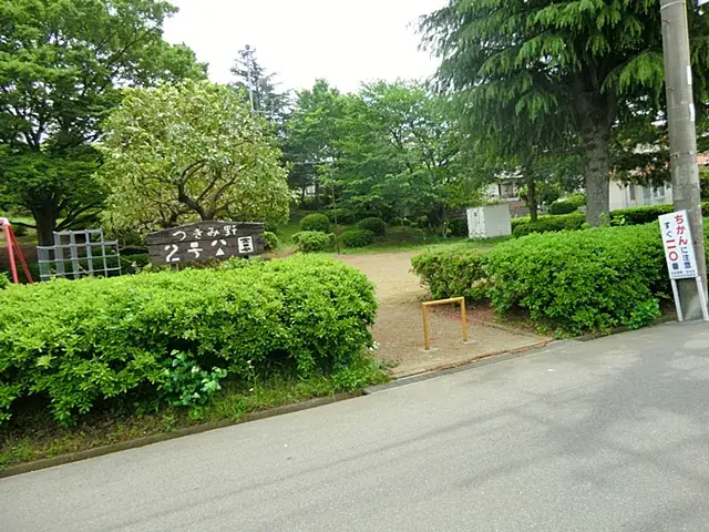 Slide 17