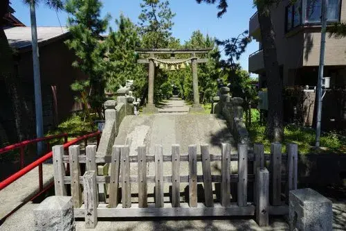 Slide 23