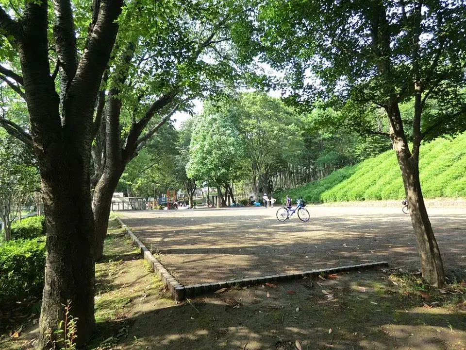 Slide 7