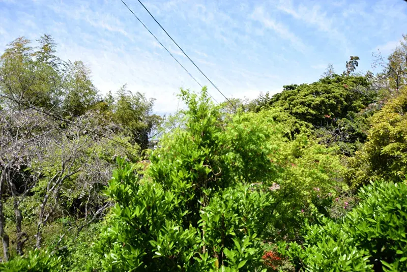 Slide 6