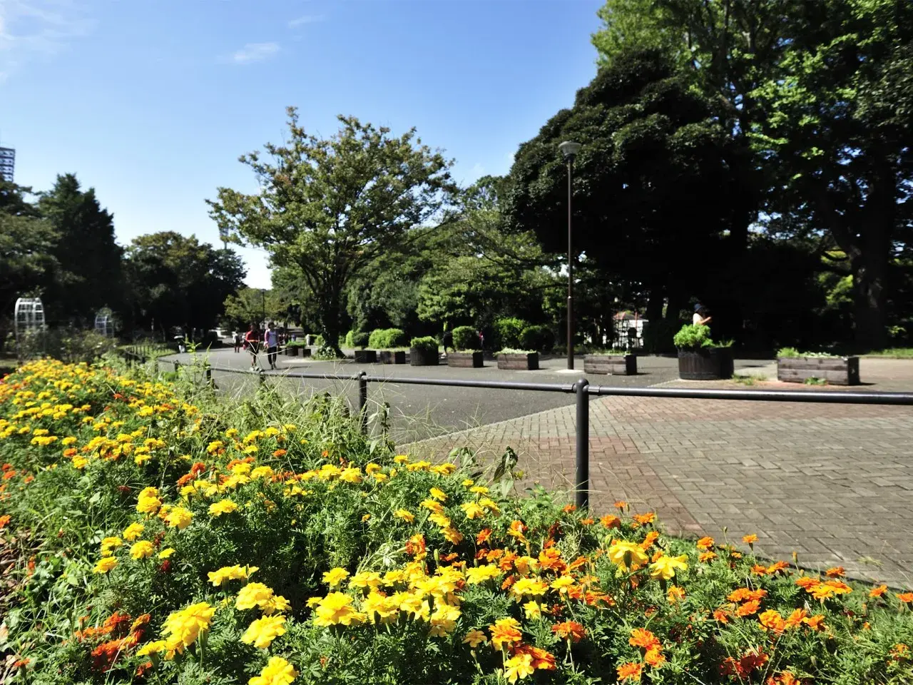 Slide 6