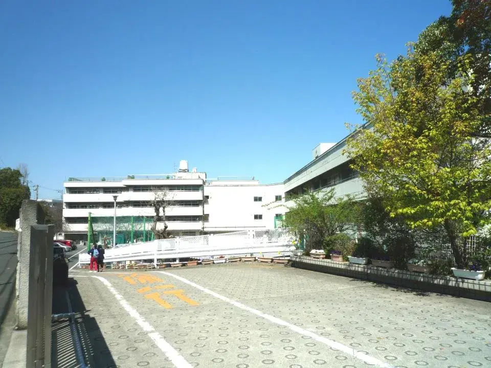 Slide 8