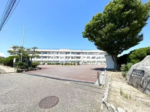 Slide 7