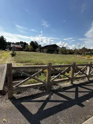 Slide 8