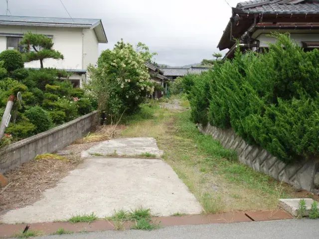 Slide 1