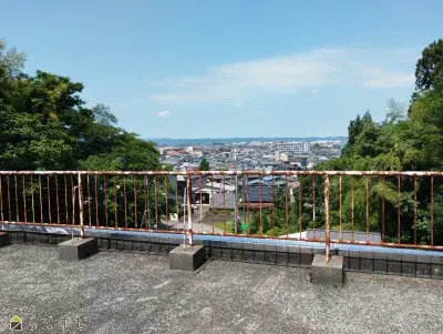 Slide 4