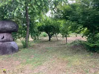 Slide 6