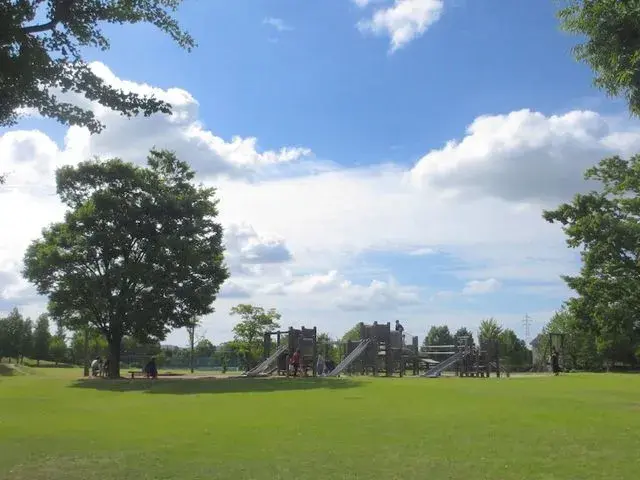 Slide 8