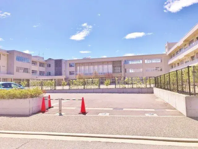 Slide 11