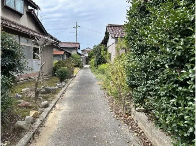 Slide 1