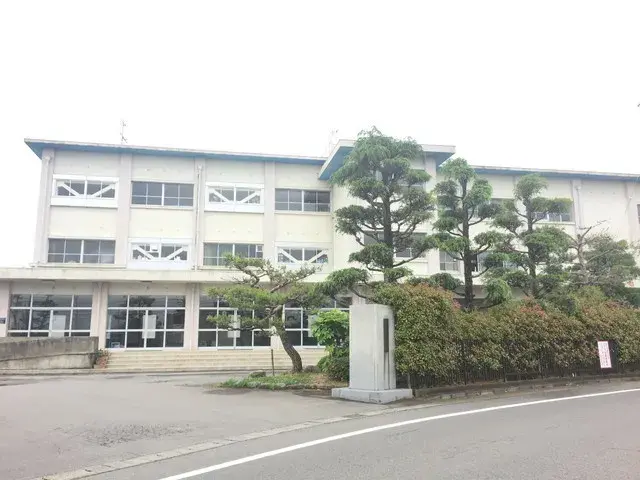 Slide 11
