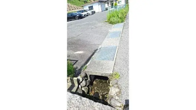 Slide 6