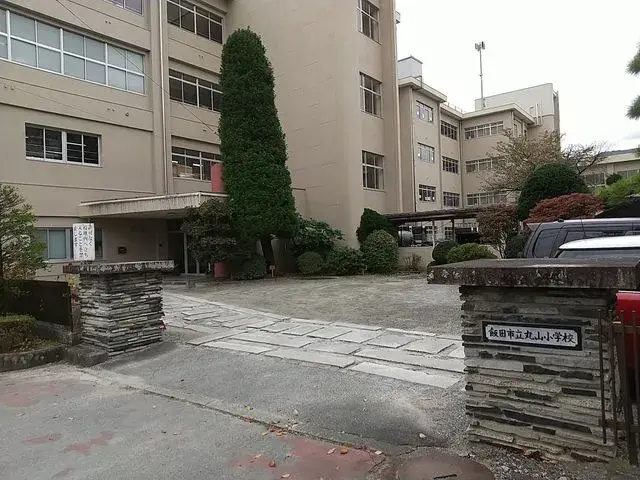 Slide 5