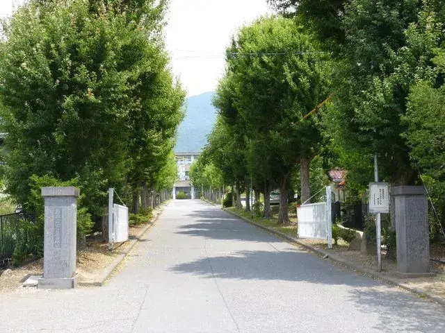 Slide 23