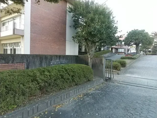 Slide 0