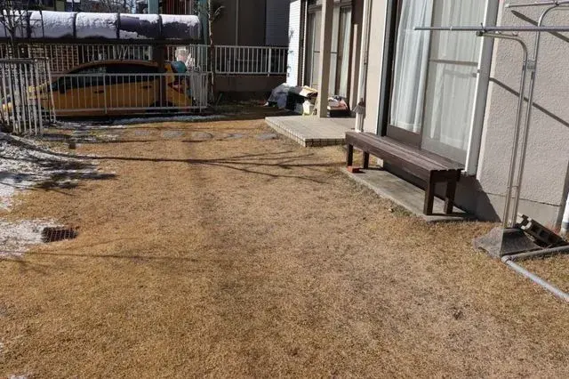 Slide 4