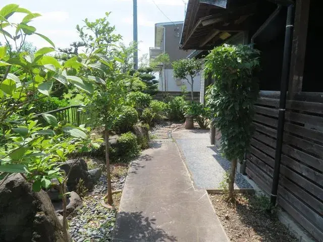 Slide 5