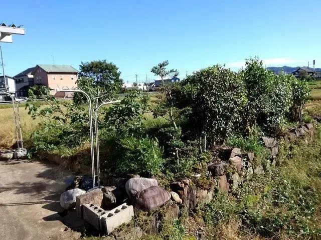 Slide 5
