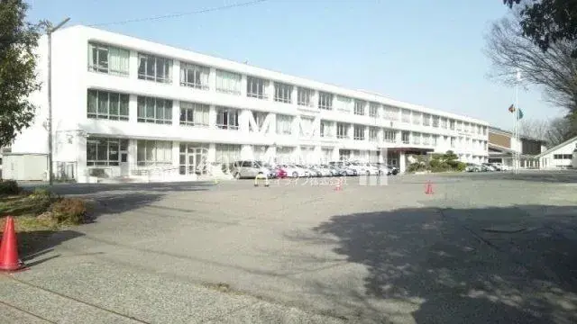Slide 15