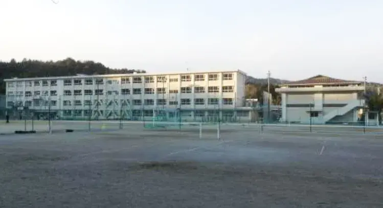 Slide 11
