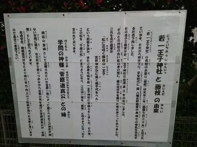 Slide 18