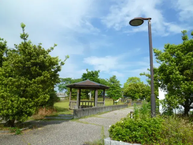 Slide 8