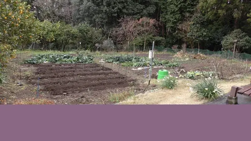 Slide 16