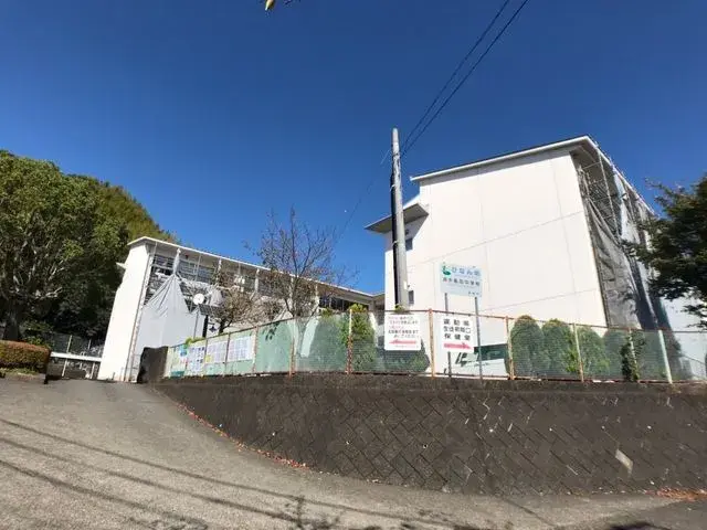 Slide 0