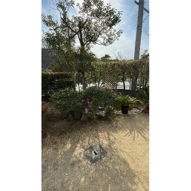 Slide 11