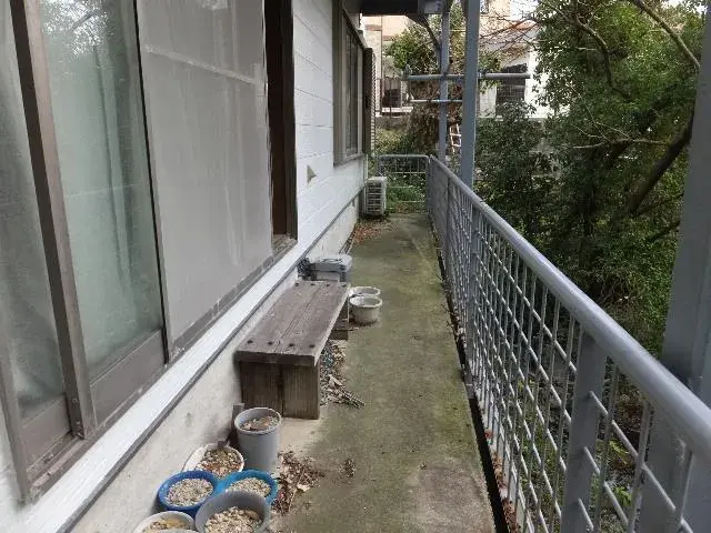 Slide 4