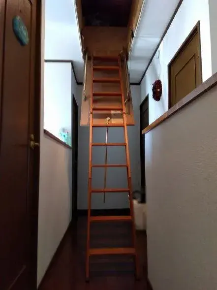 Slide 8