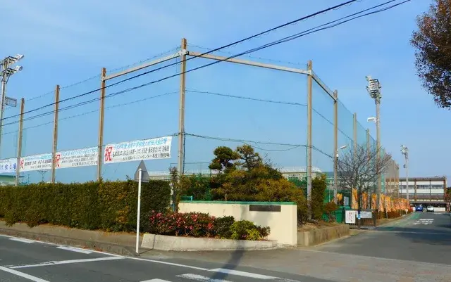 Slide 8