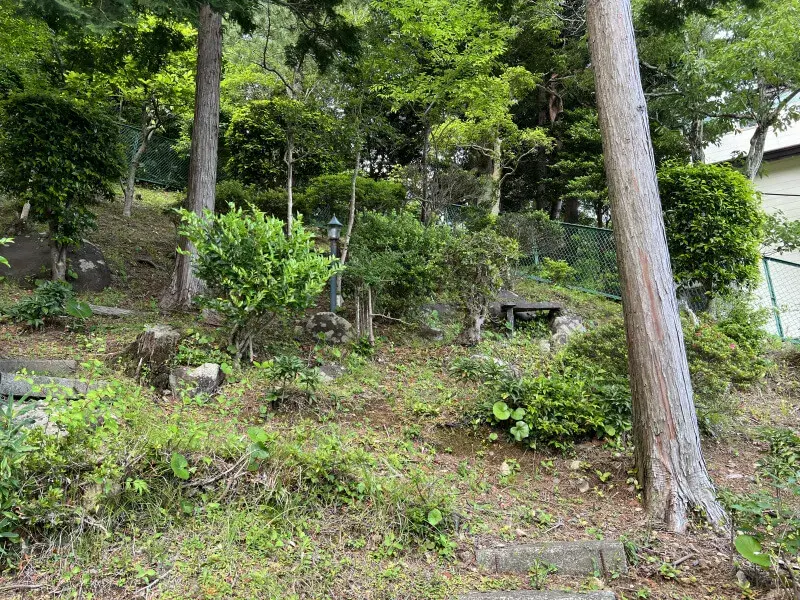 Slide 3