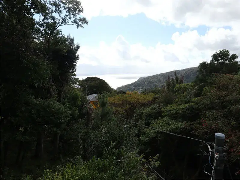 Slide 4