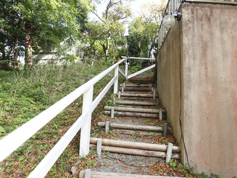 Slide 6