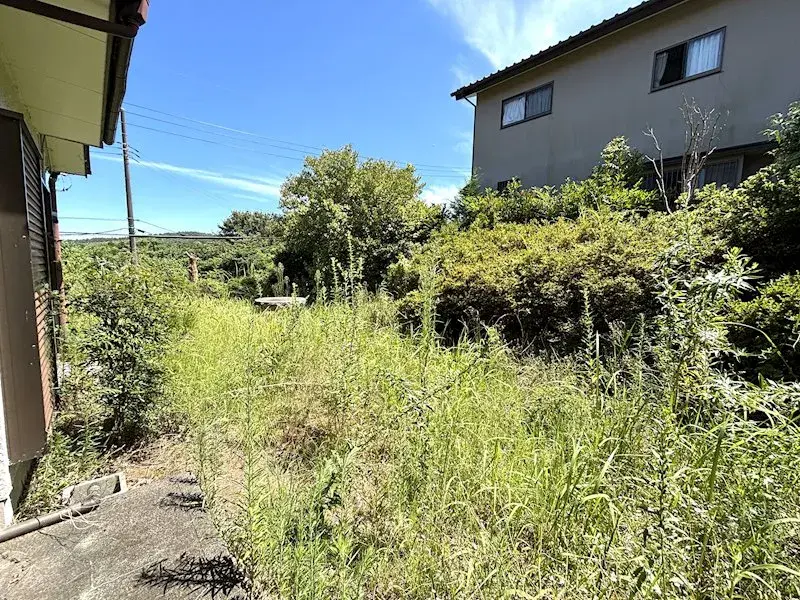 Slide 6