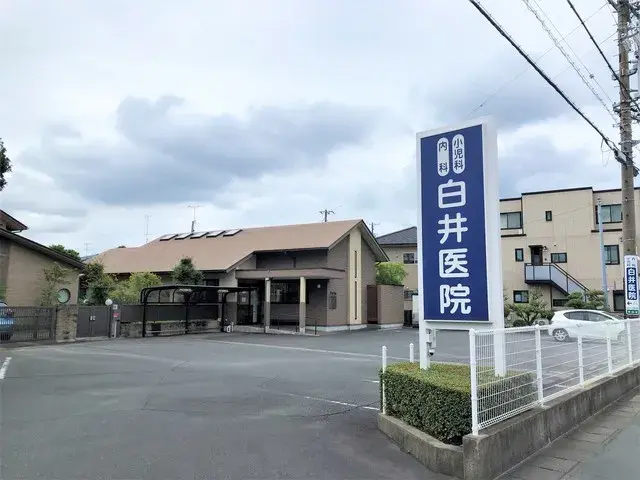 Slide 8