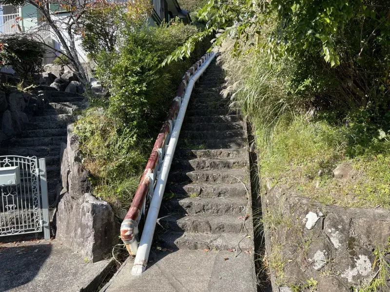 Slide 24