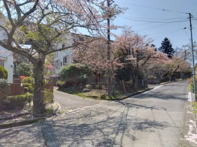 Slide 19