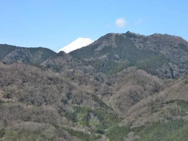 Slide 15