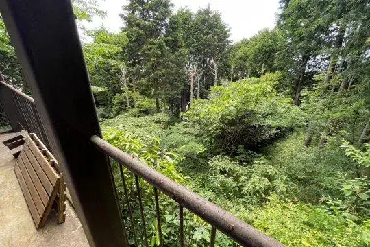 Slide 9