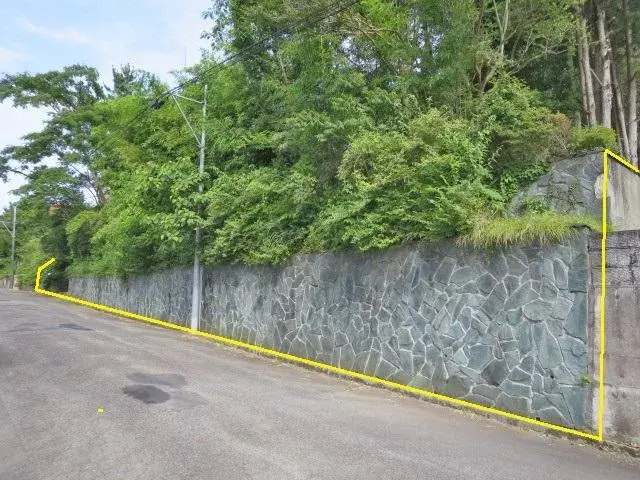 Slide 11