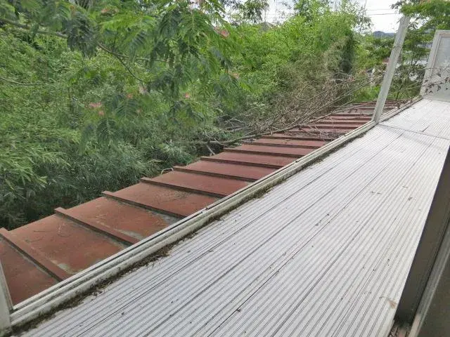 Slide 15