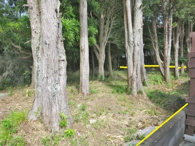 Slide 3