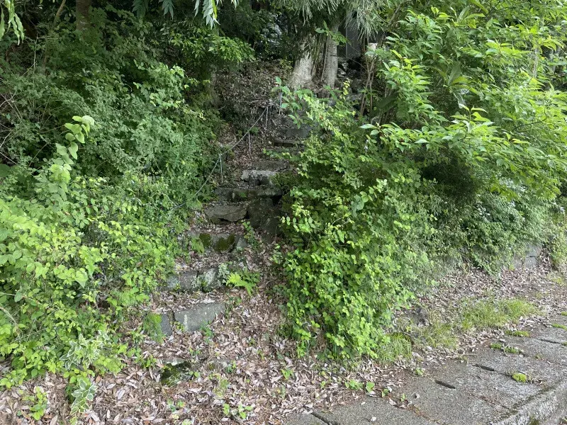 Slide 16