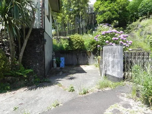 Slide 1