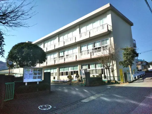 Slide 7