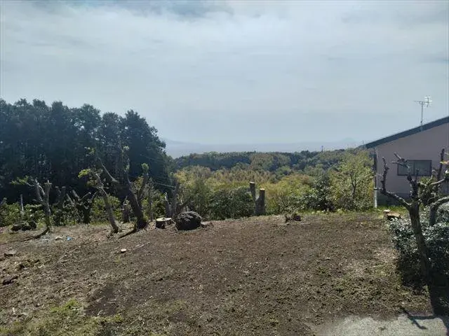 Slide 3