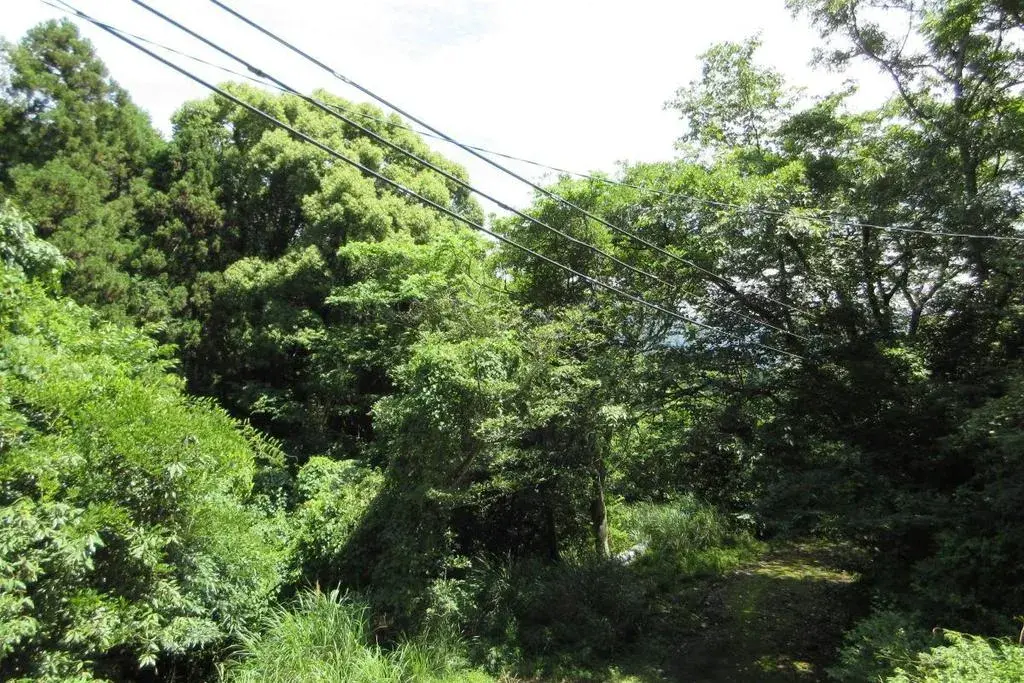 Slide 16