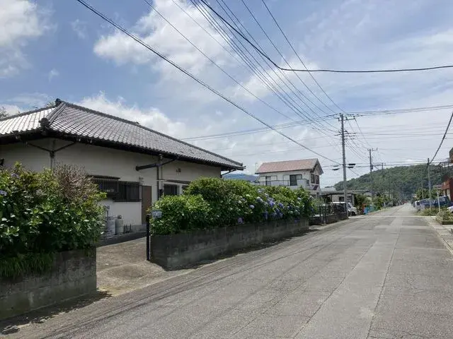 Slide 1